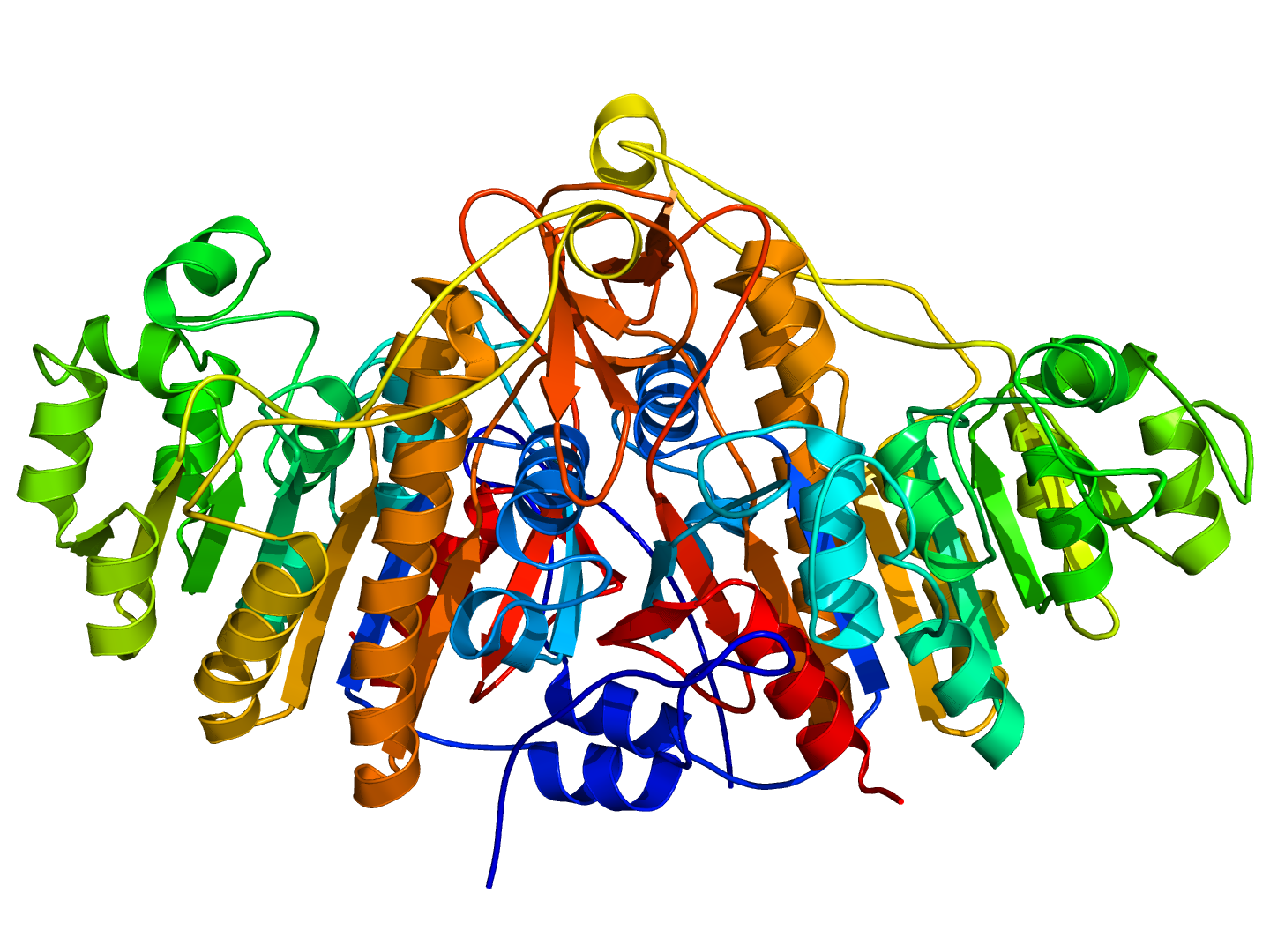 Structure of alkaline phosphatase