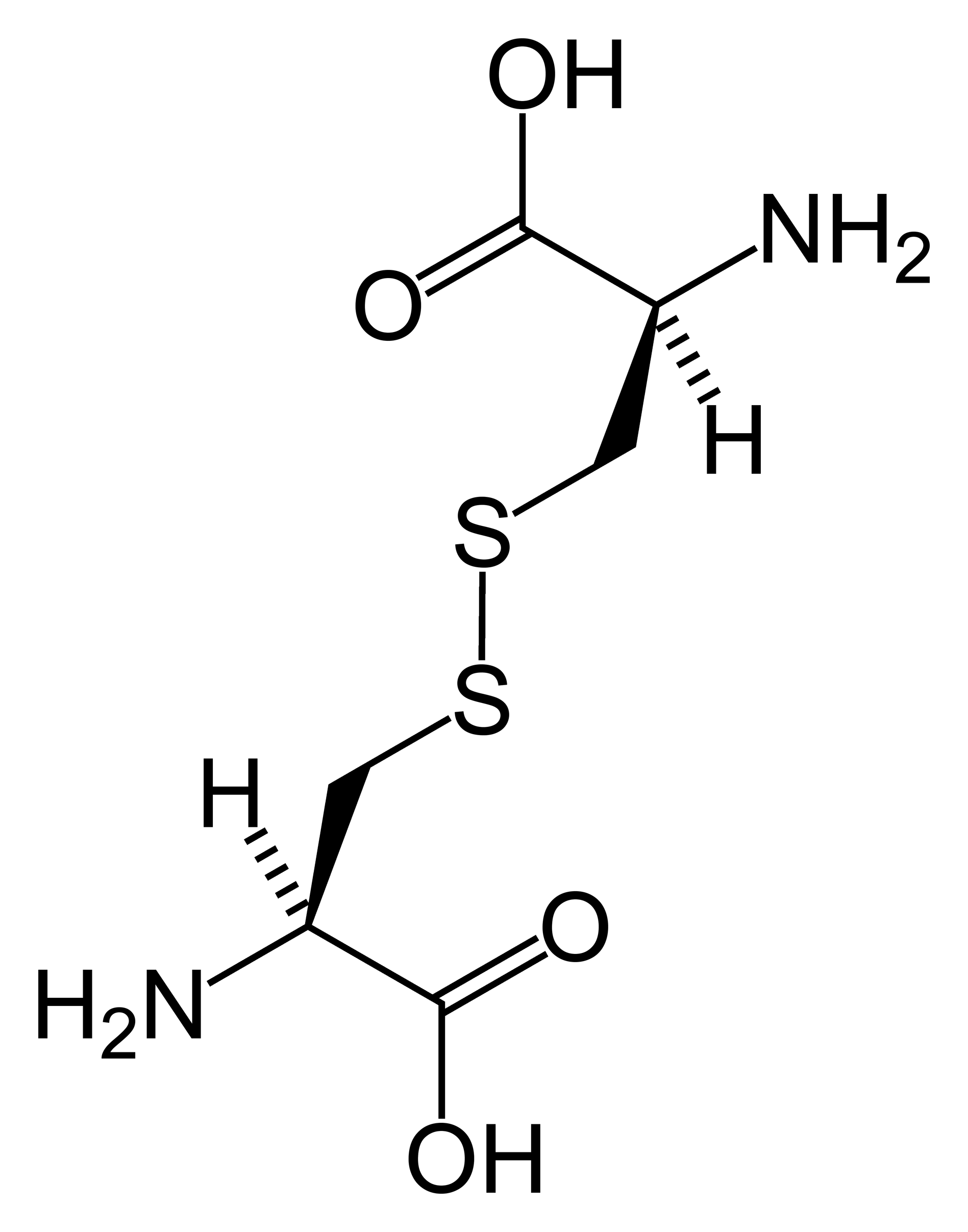 Cystine molecule structure
