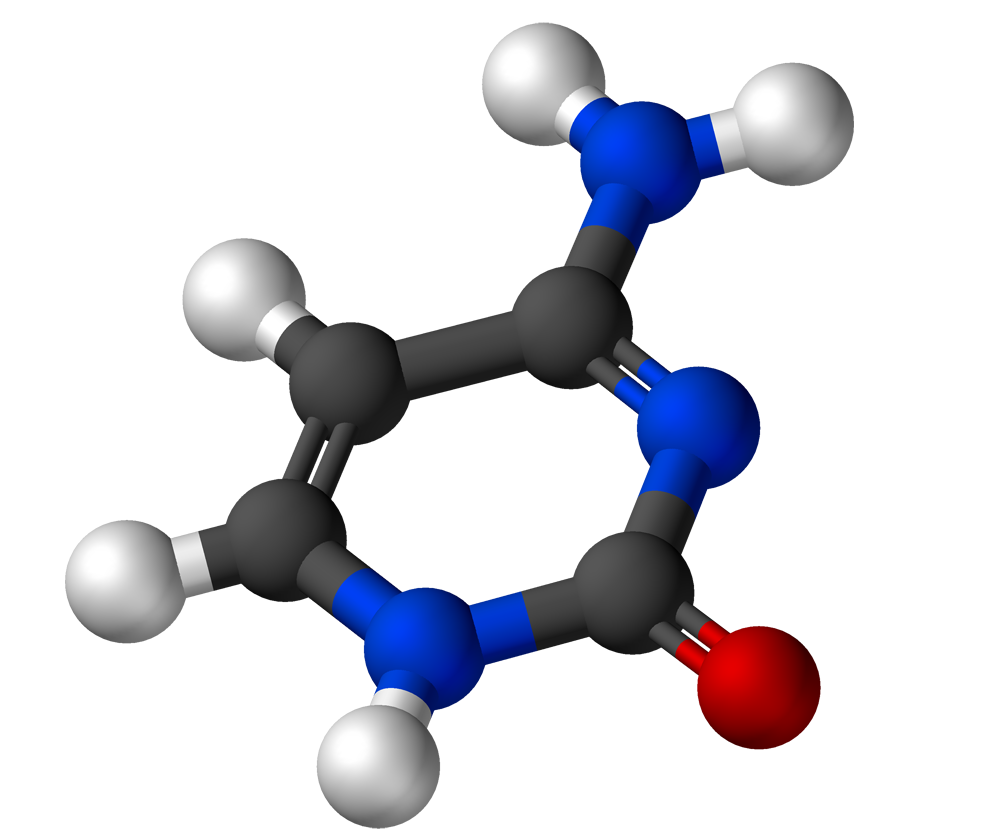 Cytosine molecule
