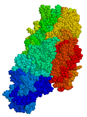 Tissue transglutaminase
