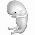 10 Weeks Pregnant