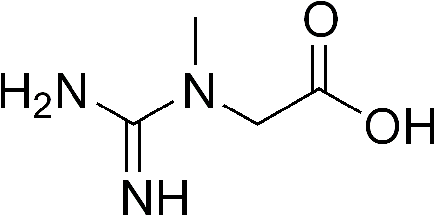 Creatine molecule