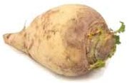 Rootveg rutabaga