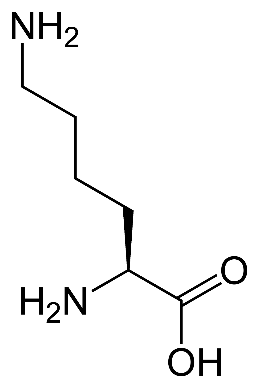 L-lysine-2D-skeletal.png