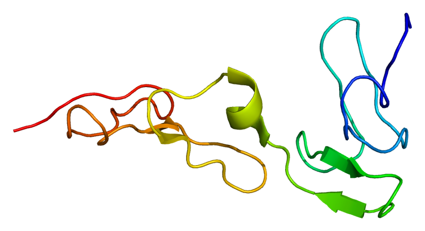 Protein S structure