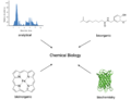 Chemical biology flowchart