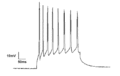 Neural oscillation