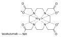 Y-90 tacatuzumab tetraxetan structure