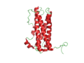 Structure of Prolactin