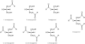 Acylglycerols general structures