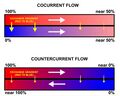 Countercurrent exchange