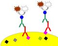 Chromogenic immunohistochemistry