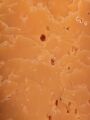 Beemster cheese detail