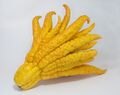 Japanese_citrus