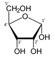 Alpha-D-Ribofuranose numbered