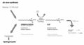 Sphingosine kinase 1 diagram