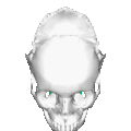 Sphenoid bone