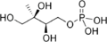 MEP