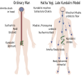 Late Kundalini Model of Hatha Yoga
