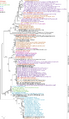 44149_2021_5_Fig3_HTML
