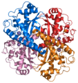Superoxide dismutase