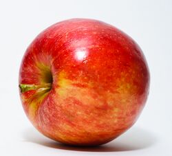 Apple, unripe is rich in tannins