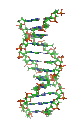 Vertiginous epilepsy