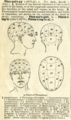 1895 Dictionary Phrenolog