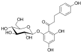 Phlorhizin