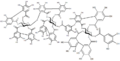 Chemical structure of raspberry ellagitannin.