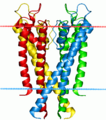 Lipid bilayer