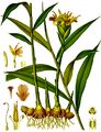 Bioprospecting