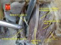 Trochlear and frontal nerves in relation to the lateral rectus muscle