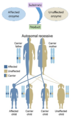 Autosomal Recessive Inheritance for Affected Enzyme