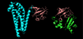 Domain homology