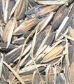 Whole grain rice (raw)