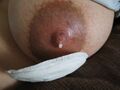 Lactation