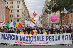 Manifestazione_pro-vita