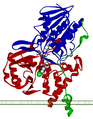 Structure of Monoamine Oxidase A