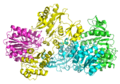 Succinyl Coenzyme A Synthetase complex