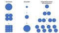 Cell proliferation