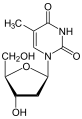 2'-Deoxythymidine