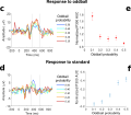 P300 vs oddball probability
