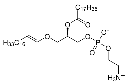 Plasmalogen structure
