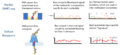 Third-generation sequencing
