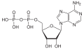 Adenosine diphosphate structure