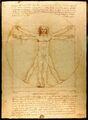 Vitruvian Man by Leonardo da Vinci