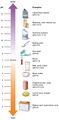 Hydrodynamic theory (dentistry)
