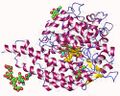 Angiotensin-converting enzyme