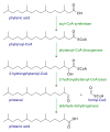 Alpha oxidation